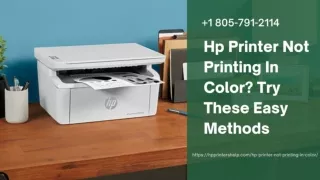 HP Printer Not Printing In Color? 1-8057912114 HP Printer Helpline