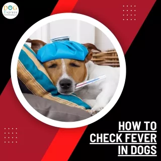 how to