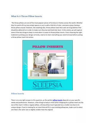 what is a throw pillow inserts