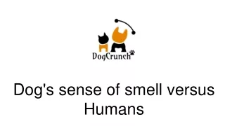Dog's sense of smell versus Humans