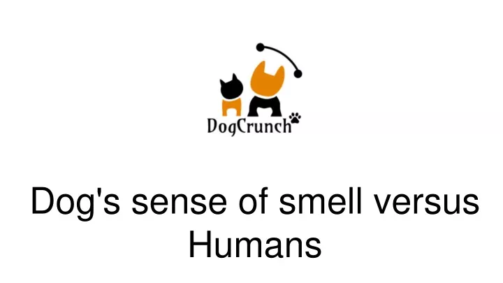 d og s sense of smell versus humans
