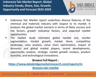 Indonesia Talc Market