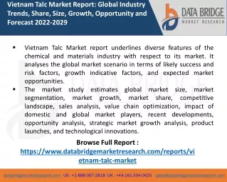 Vietnam Talc Market