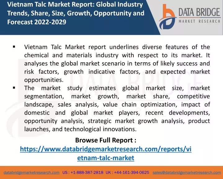 vietnam talc market report global industry trends