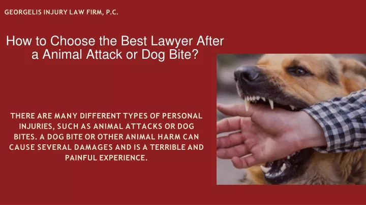 how to choose the best lawyer after a animal attack or dog bite