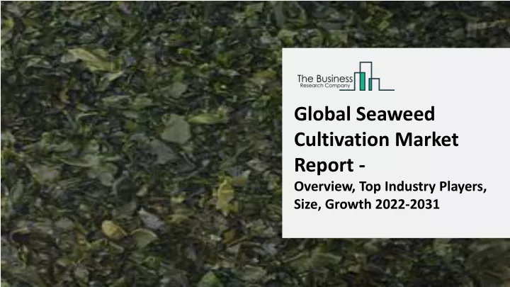 global seaweed cultivation market report overview