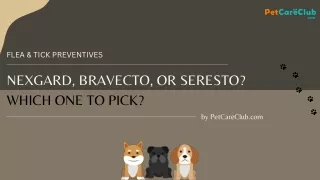 Nexgard, Bravecto or Seresto - Which one to pick for your pet?