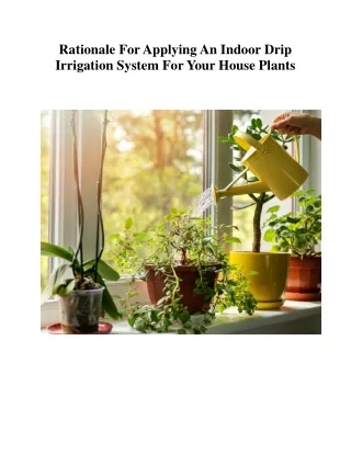 Rationale For Applying An Indoor Drip Irrigation System For Your House Plants