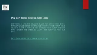 Dog Paw Hemp Healing Balm India  Pawnaturale.in