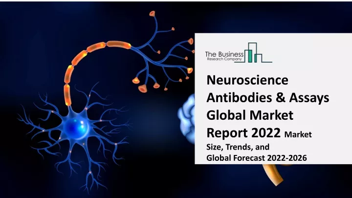 neuroscience antibodies assays global market