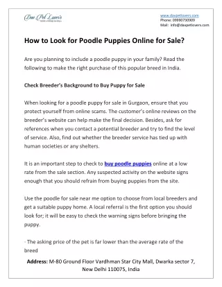 How to Look for Poodle Puppies Online for Sale