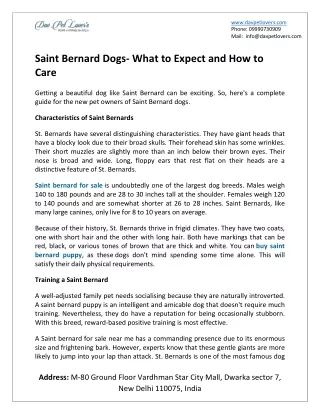 Saint Bernard Dogs- What to Expect and How to Care