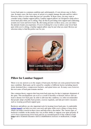 Lumbar Support Pillow for Lower Back Pain While Sitting