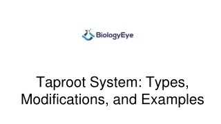 Taproot System