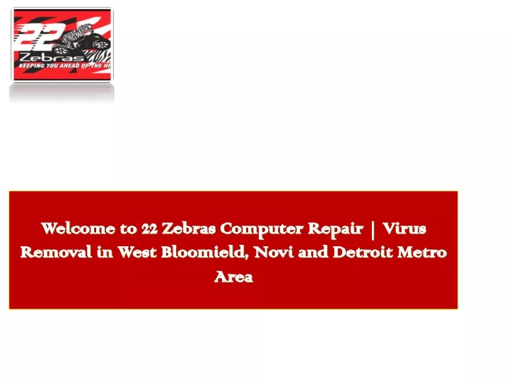 welcome to 22 zebras computer repair virus