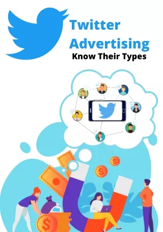 twitter advertising know their types