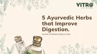 5 Ayurvedic Herbs that Improves Digestion