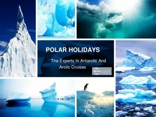 Affordable Antarctica Cruise Trips In 2022