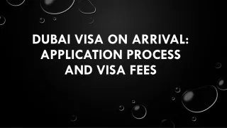 Dubai Visa On Arrival Application Process and Visa Fees