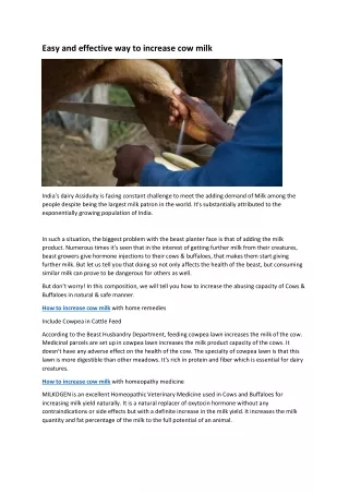 easy and effective way to increase cow milk