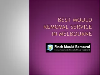 Mould Repair Service in Melbourne