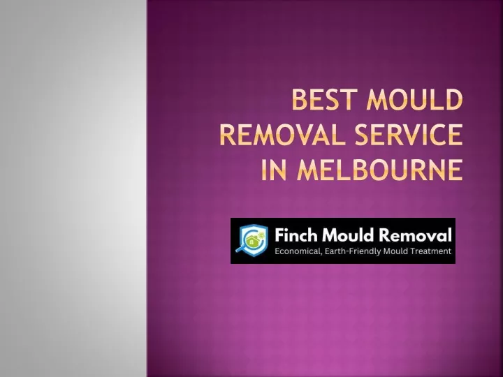 best mould removal service in melbourne