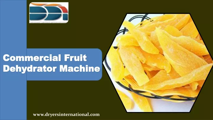 commercial fruit commercial fruit dehydrator