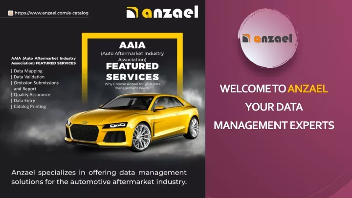 welcome to anzael your data management experts