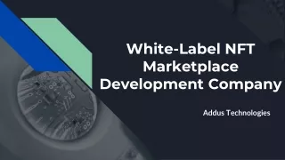 White-Label NFT Marketplace Development Company