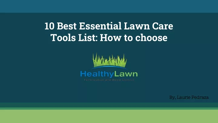 10 best essential lawn care tools list how to choose