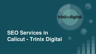 seo services in calicut trinix digital