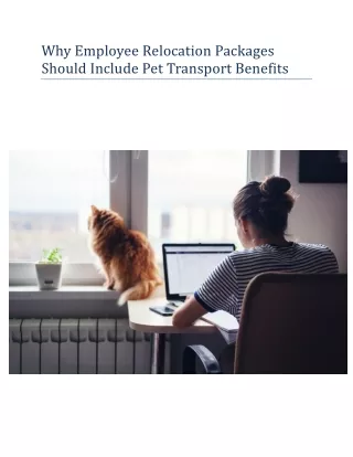 Why Employee Relocation Packages Should Include Pet Transport Benefits