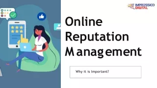 Online Reputation Management Services