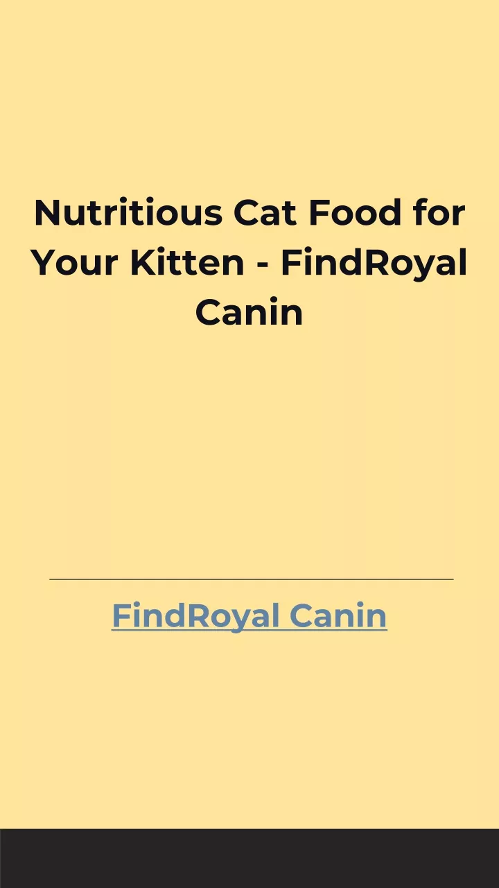 nutritious cat food for your kitten findroyal canin