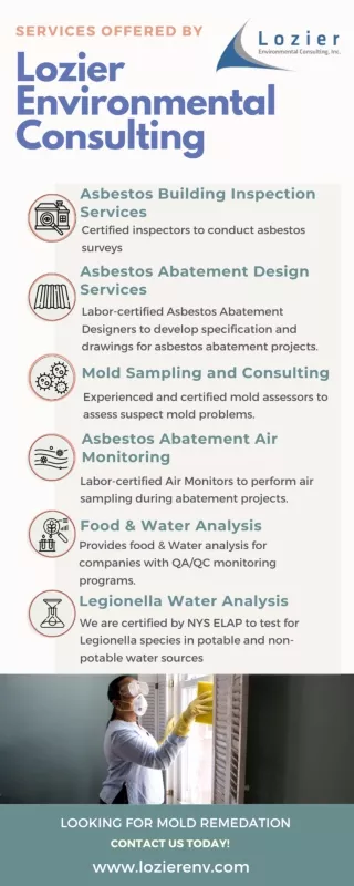 Mold Consulting & Remediation Services Rochester NY