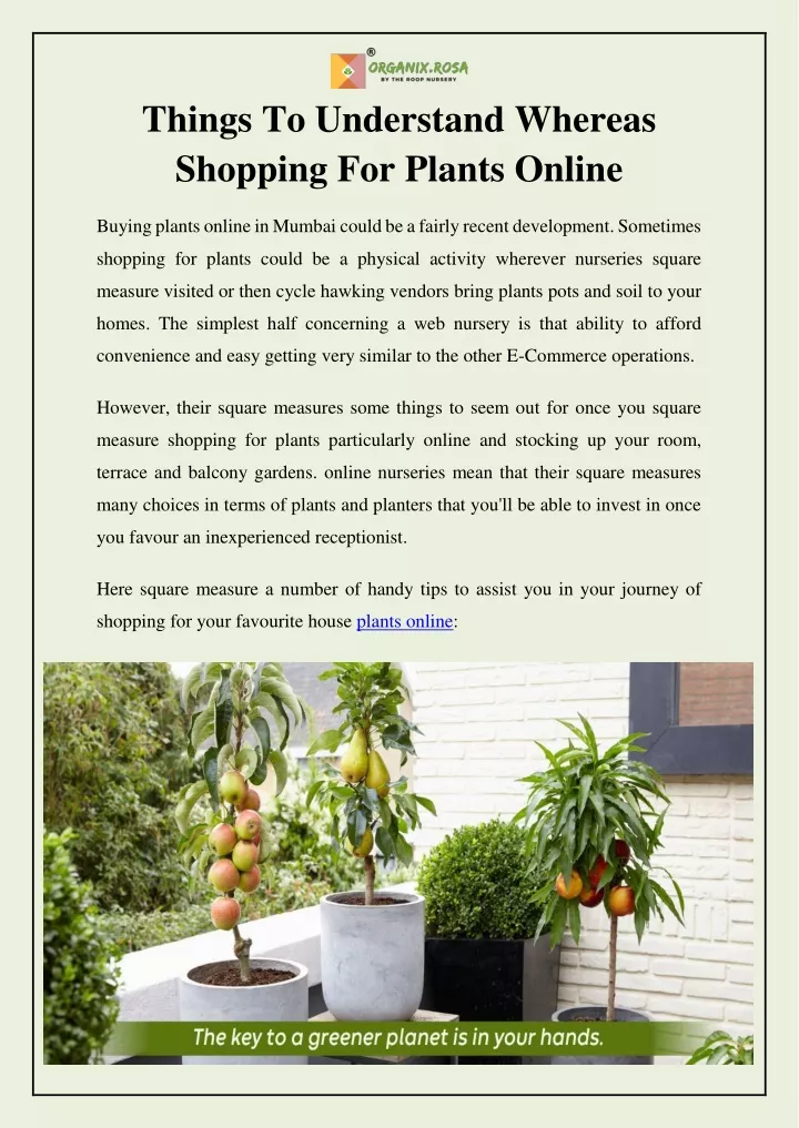 things to understand whereas shopping for plants