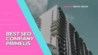 Best SEO Company Primelis