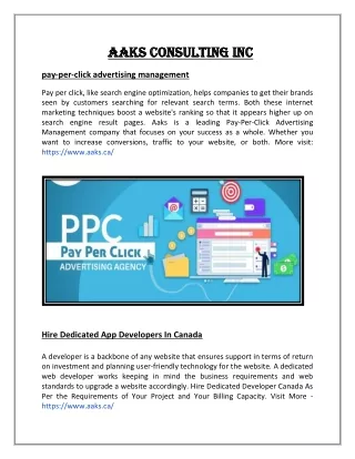 aaks consulting inc aaks consulting inc