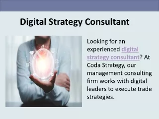 Digital Strategy Consultant