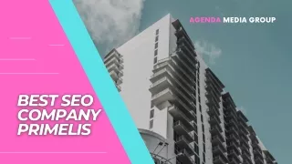 Best SEO Company Primelis