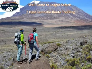 7 Days Lemosho Route Trekking