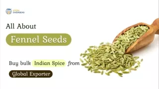 All About Fennel Seeds - Buy bulk Indian Spice from global supplier - Vyom Overseas