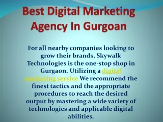 Digital Marketing Agency Gurgaon | SkyWalk Technologies