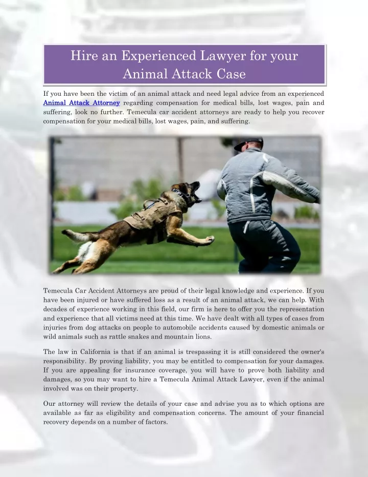 hire an experienced lawyer for your animal attack