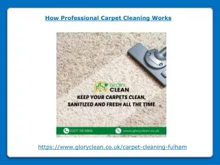 how professional carpet cleaning works