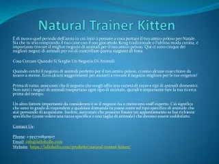 natural trainer kitten