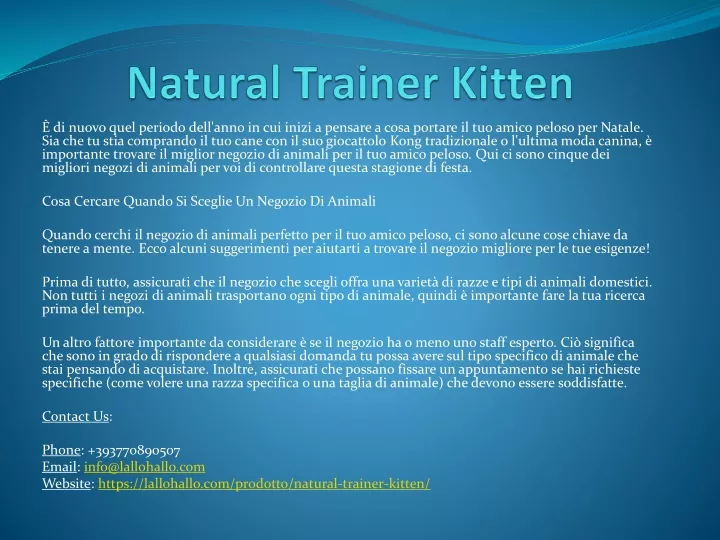 natural trainer kitten