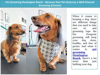 Pet Grooming Huntington Beach – Because Your Pet Deserves a Well-Planned Grooming Schedule
