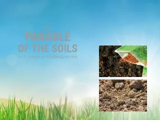 Parable of the Soil