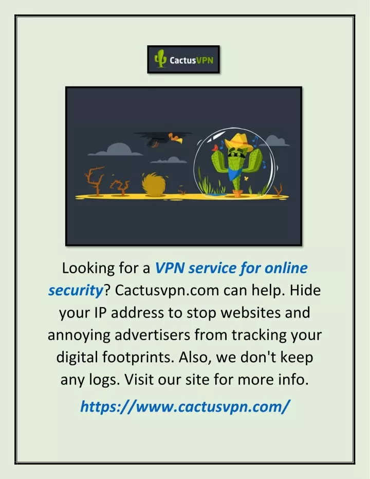 looking for a vpn service for online security